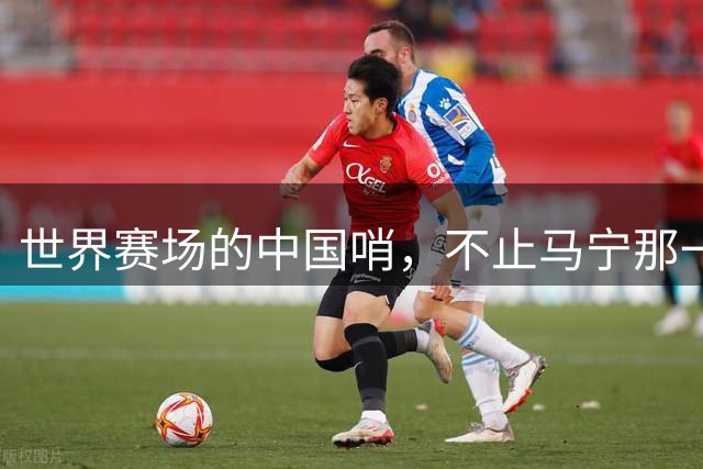世界赛场的中国哨，不止马宁那一声